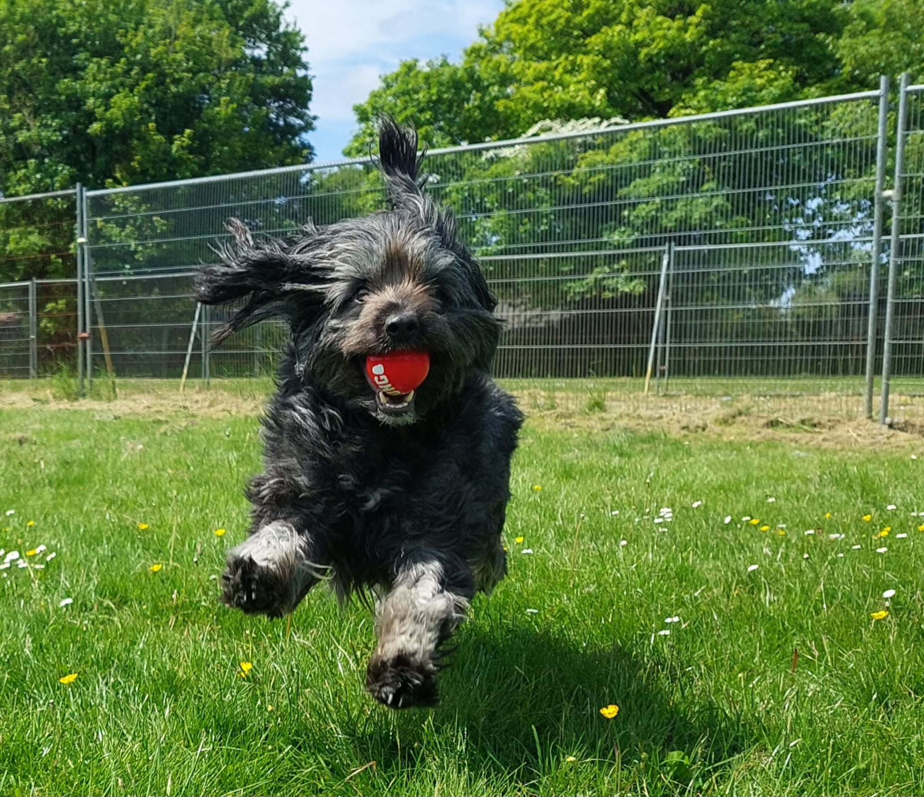 Creative/Copywriting Volunteer