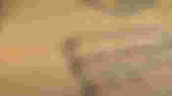 Training: Werken met eigen ervaring