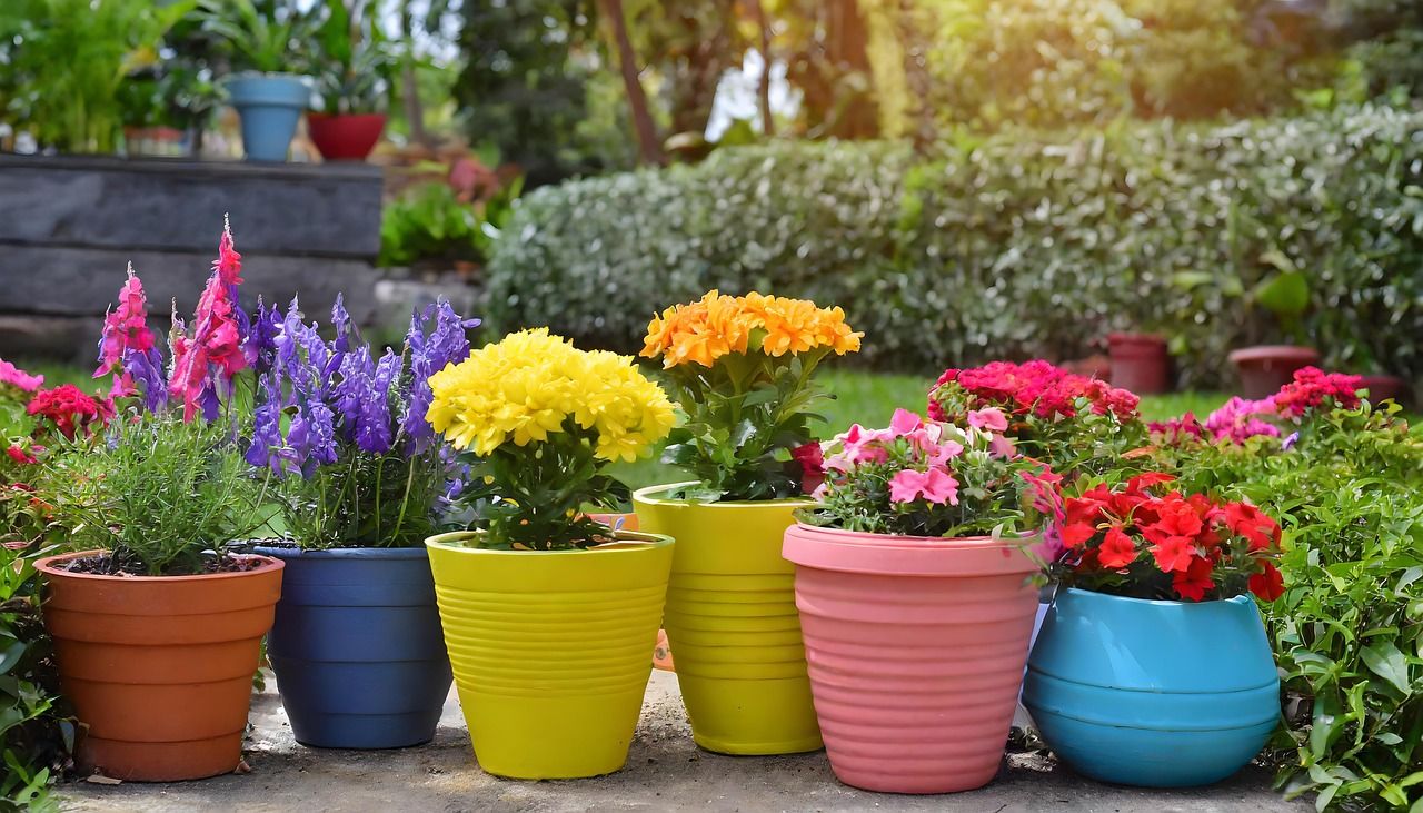 Hou jij van tuinieren? Dan zijn wij opzoek naar jou!