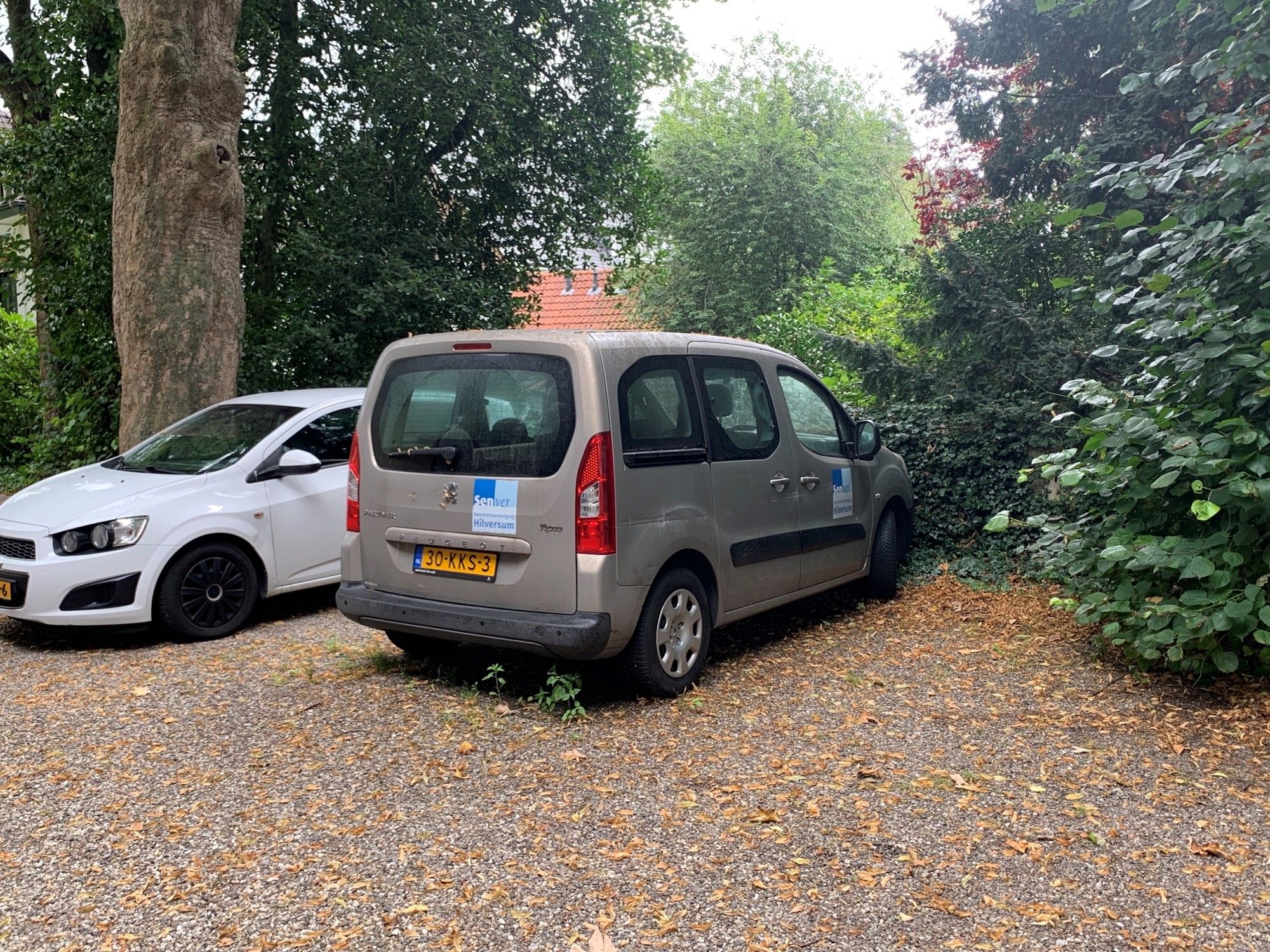 Chauffeur Stadsauto voor Senioren