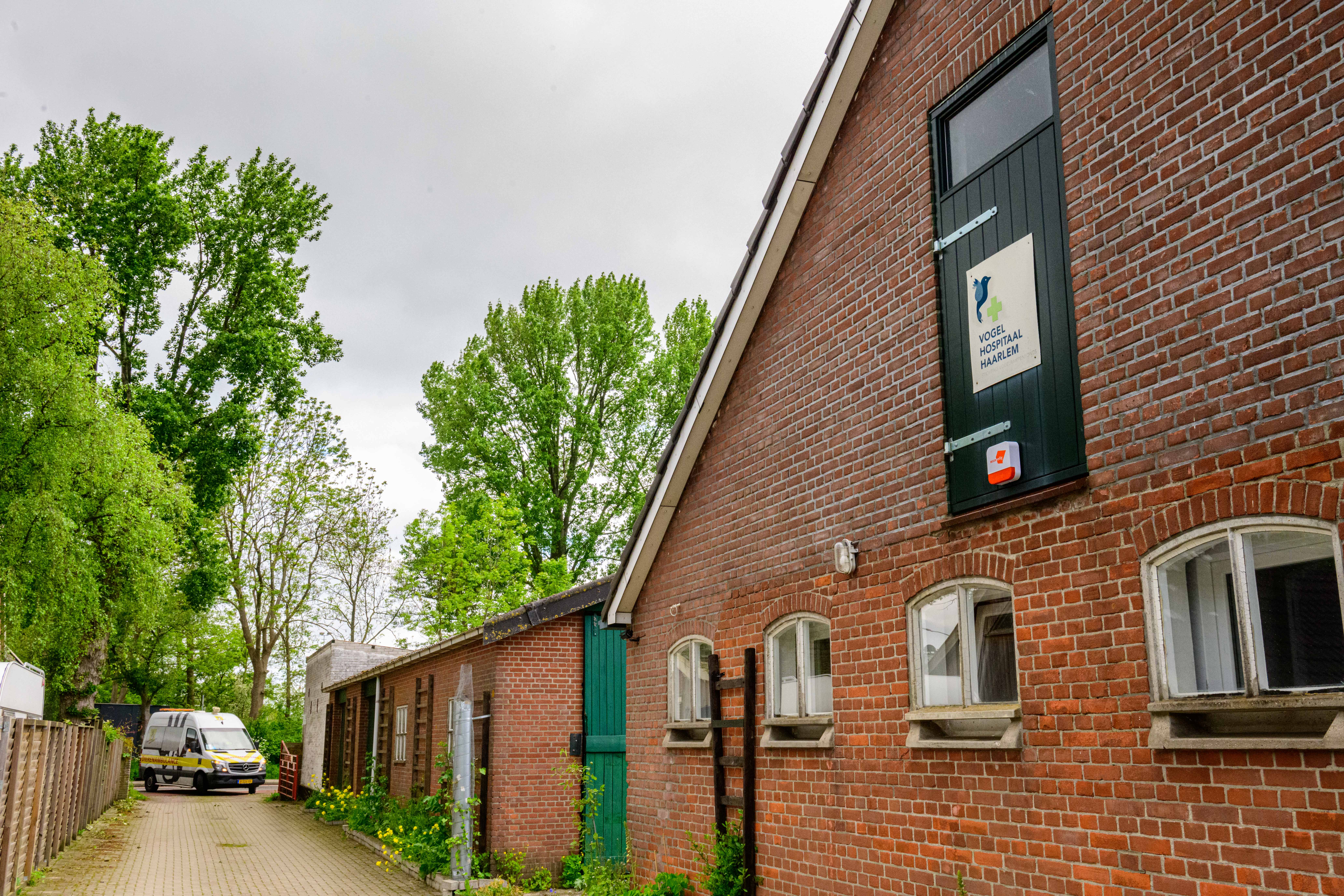 Schilder Vogelhospitaal