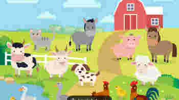 Altijd al eens boer willen zijn? Wordt dierverzorger bij de kinderboerderij