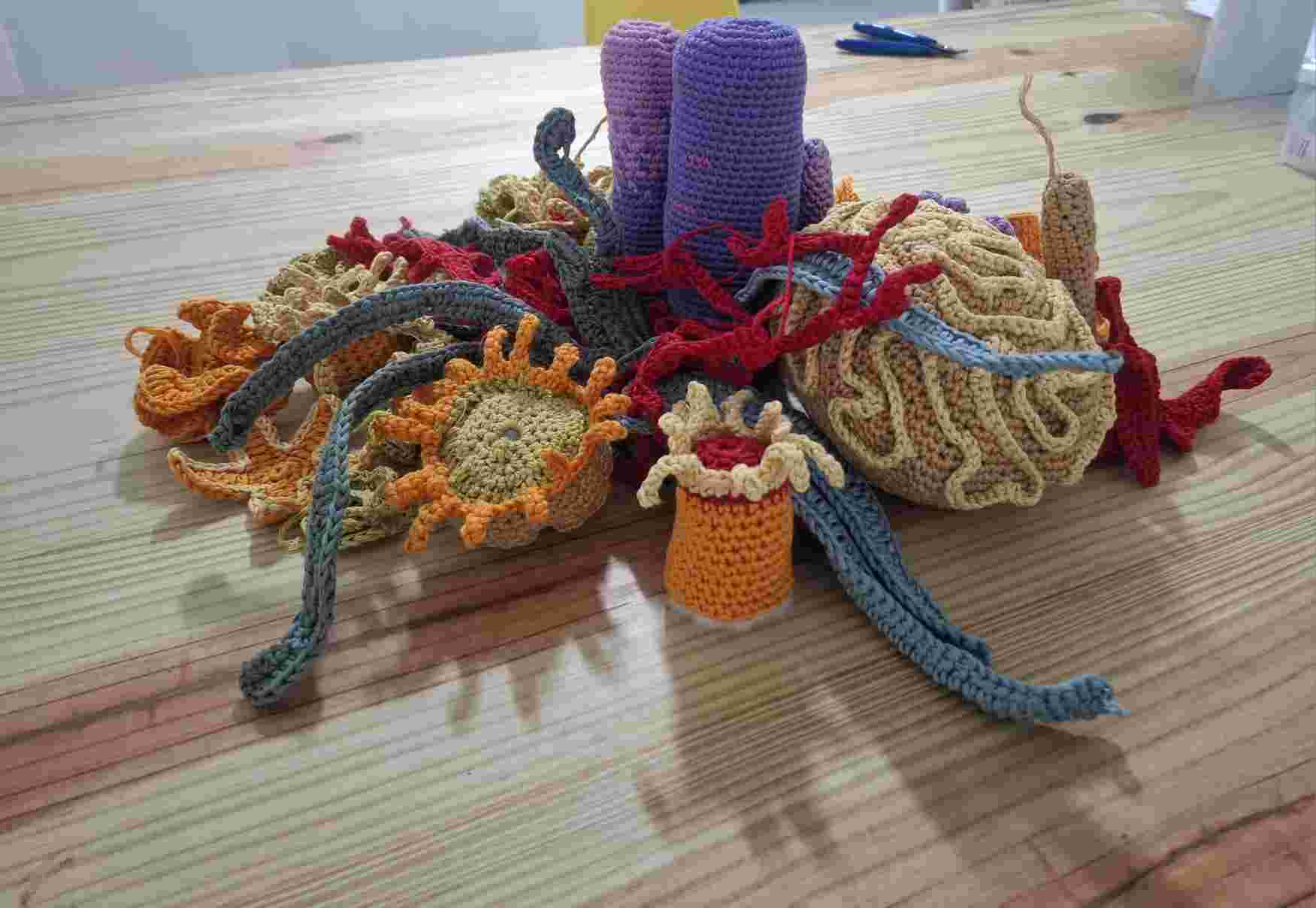 Help us crochet a coral reef!