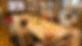 Voar op tafel - dé lunch voor vrijwillige inzet