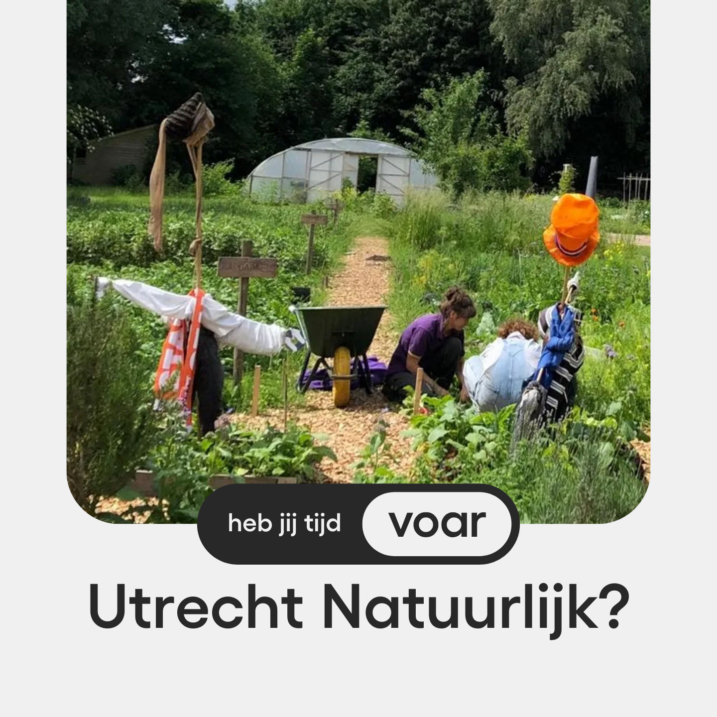 Extra aandacht voor een vrijwilligersorganisatie in Utrecht: bekijk hun actuele vacatures vrijwilligerswerk!