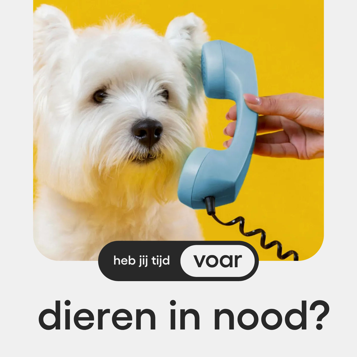 Extra aandacht voor een vrijwilligersorganisatie in Utrecht: bekijk hun actuele vacatures vrijwilligerswerk!