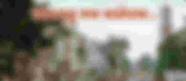 Plât Uteregs voar beginners!