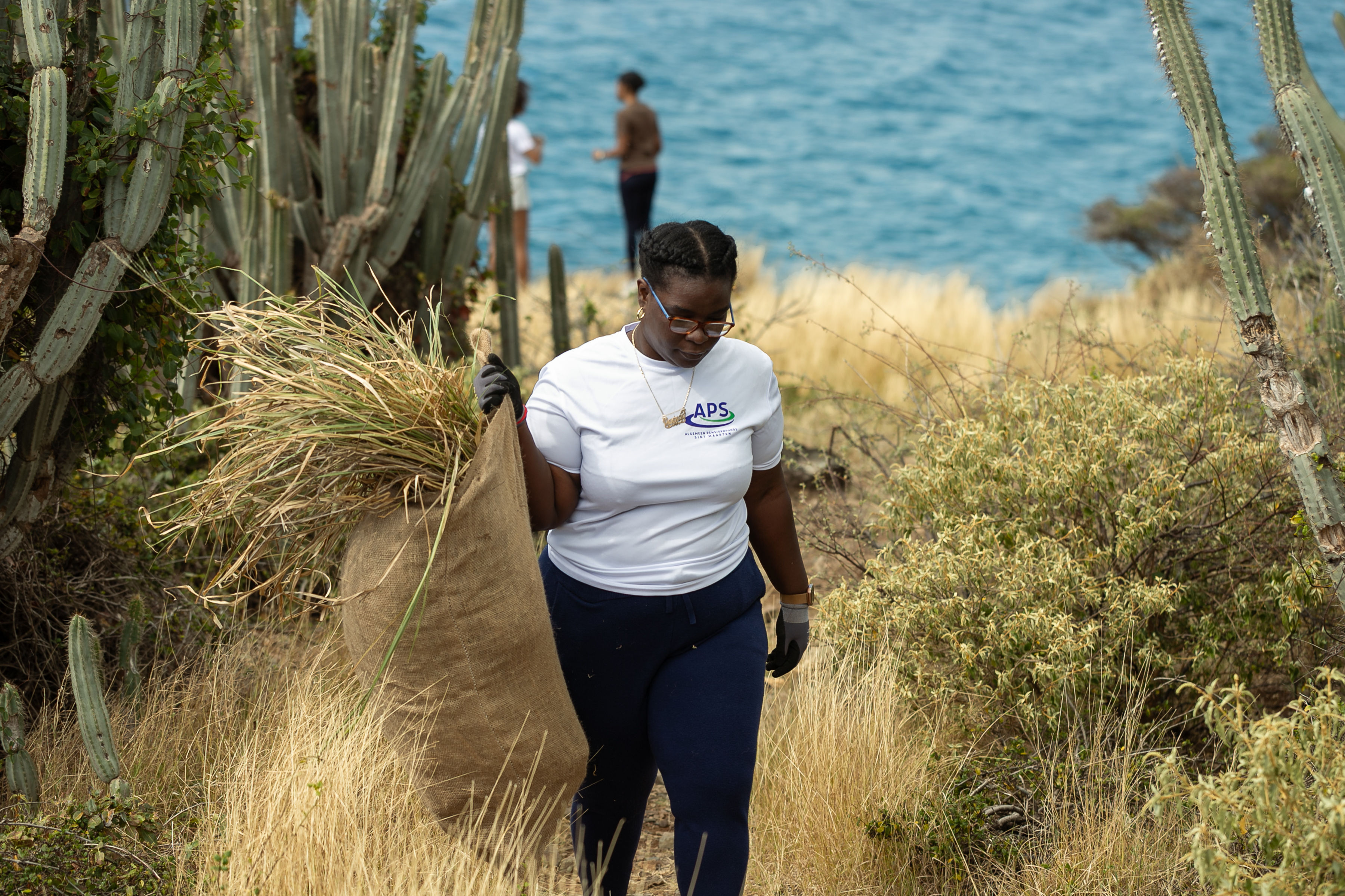 Fort Amsterdam invasive grass removal