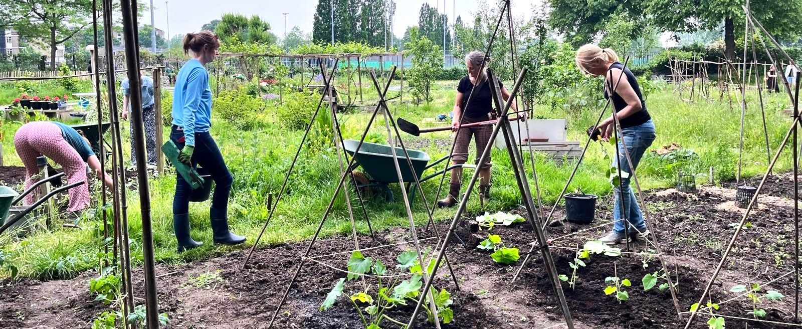 Coördinator biologische moestuin