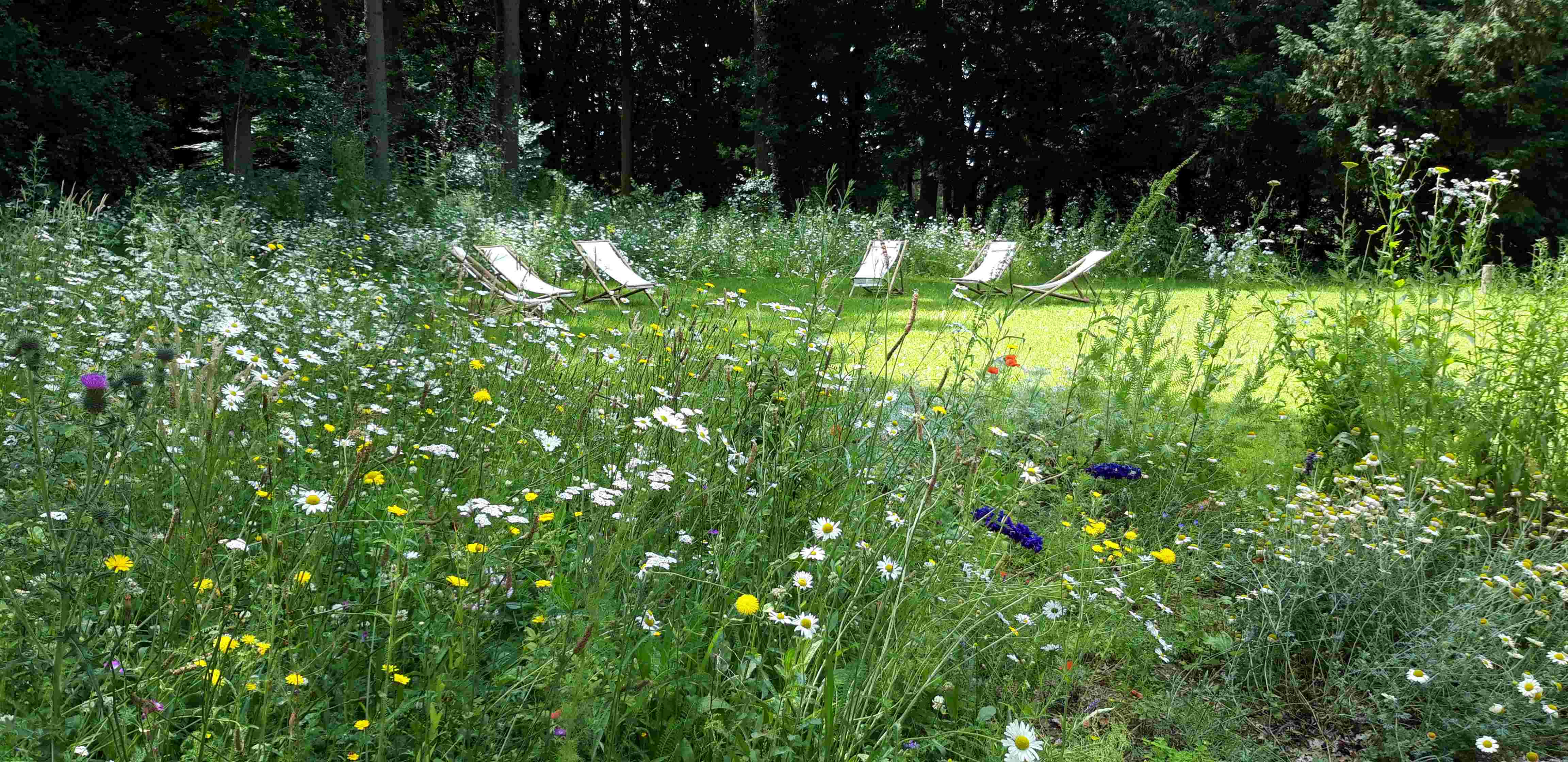 Vrijwilliger Voedselbos