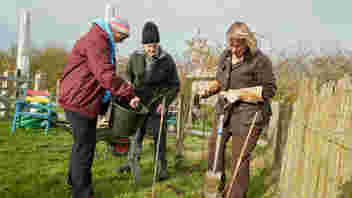 3 people tree planting