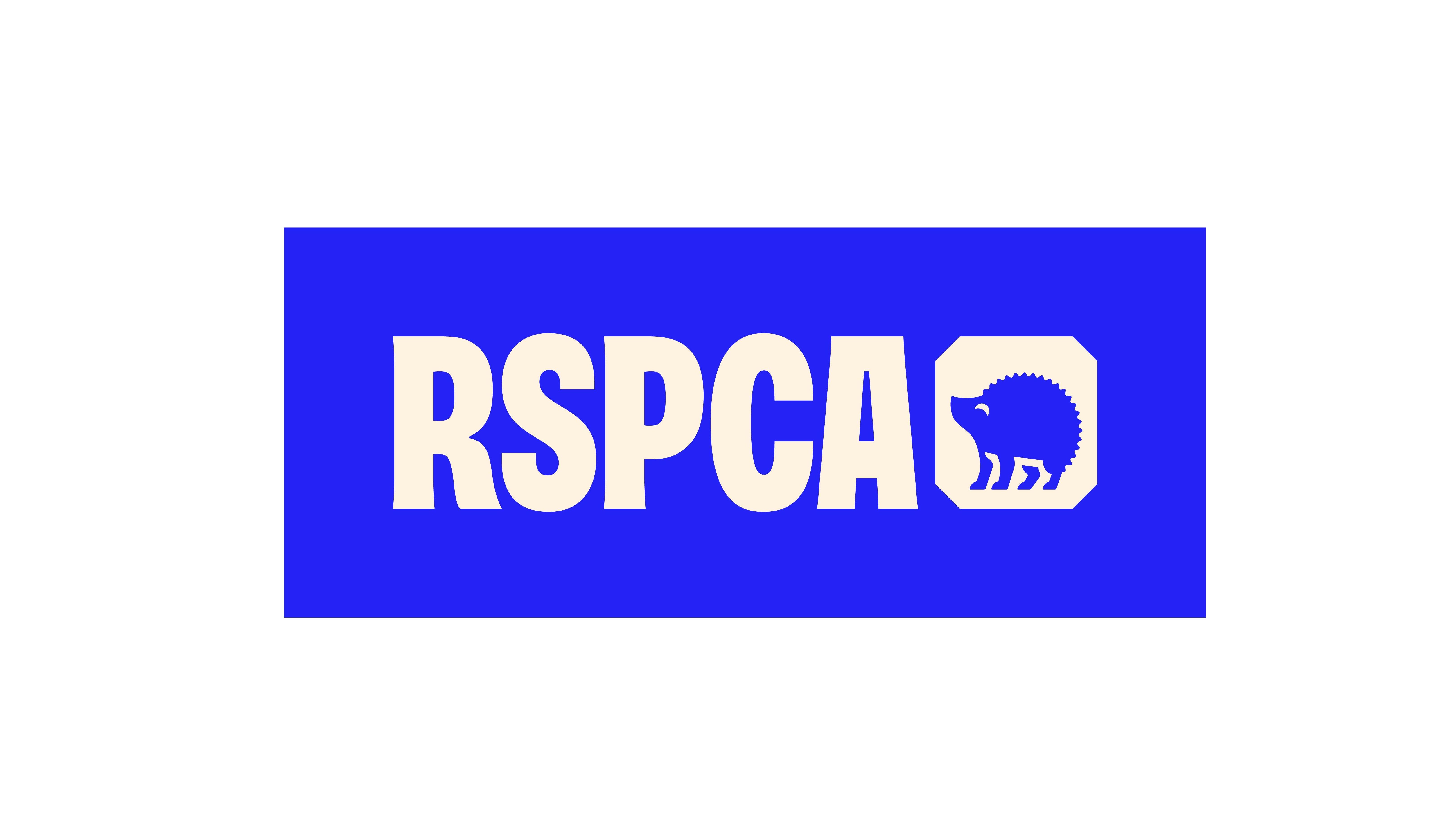 A blue logo saying RSPCA with a small cartoon image of a hedgehog