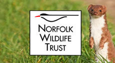 Norfolk Wildlife Trust logo