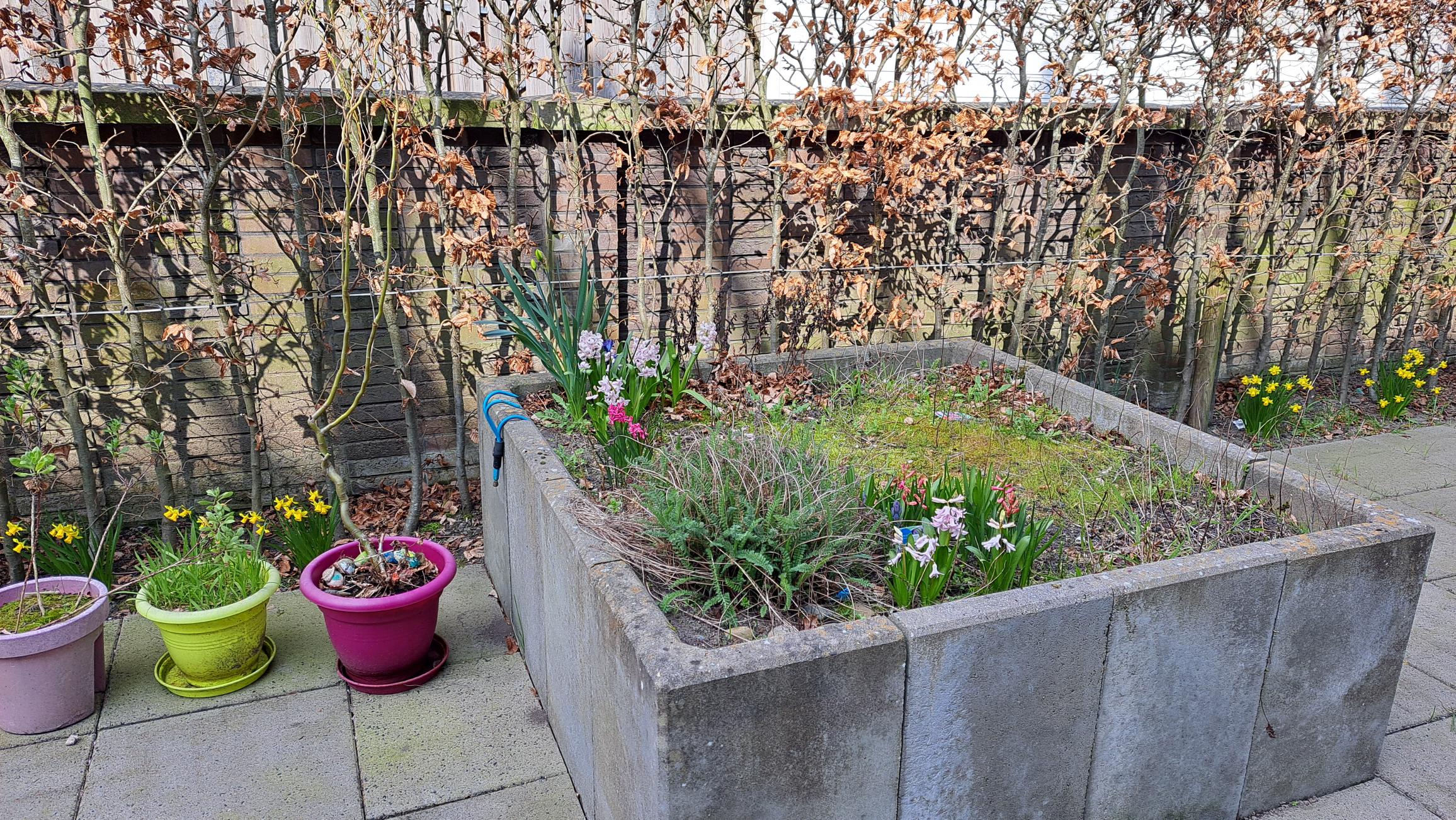 Groene vingers en zin om lekker buiten te zijn?