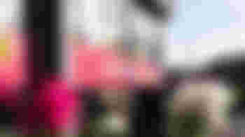 Wawollie Kringloop - Medewerker inname