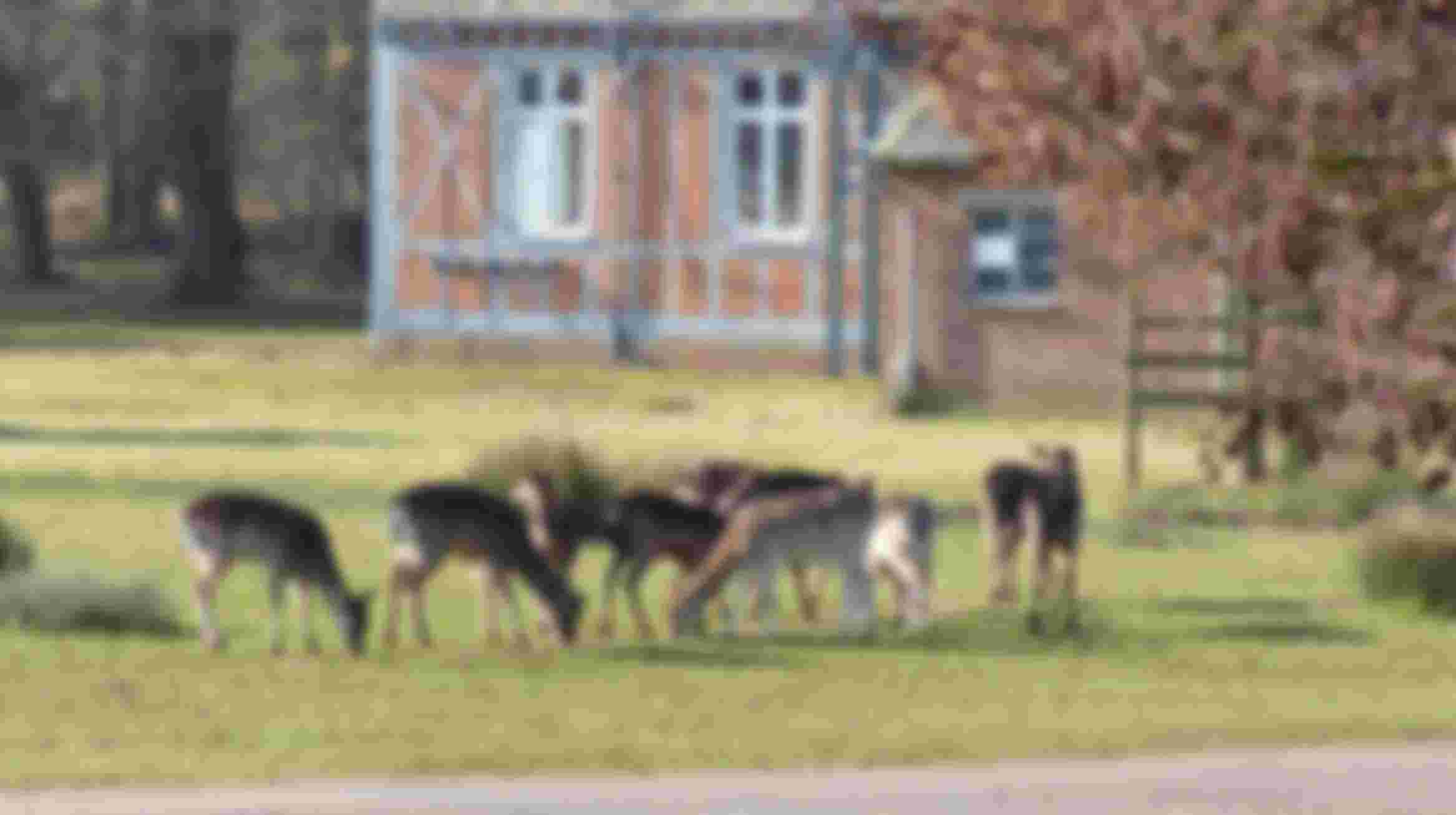 Nature Conservationist