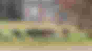 Nature Conservationist