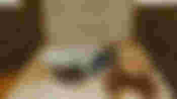 Family Activities Assistant