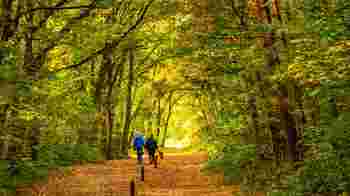 Maatje gezocht voor 71 jarige energieke man