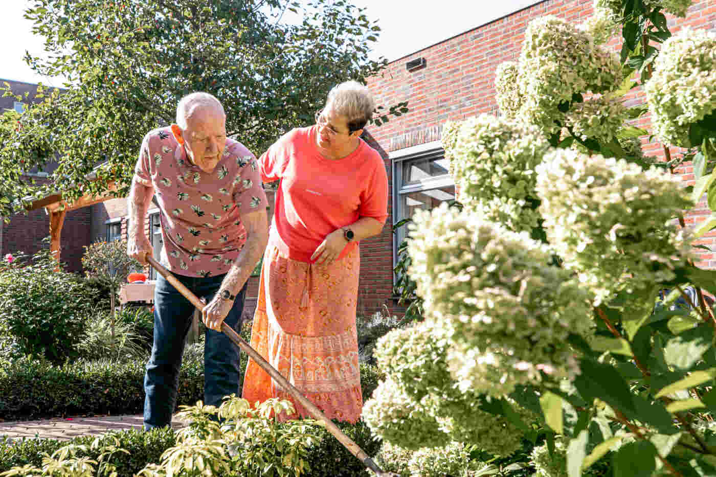 62 jarige man met passie voor auto's, dieren en tuinieren zoekt maatje