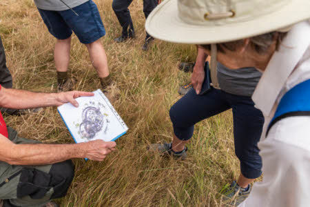 Heritage and Archaeology Ranger