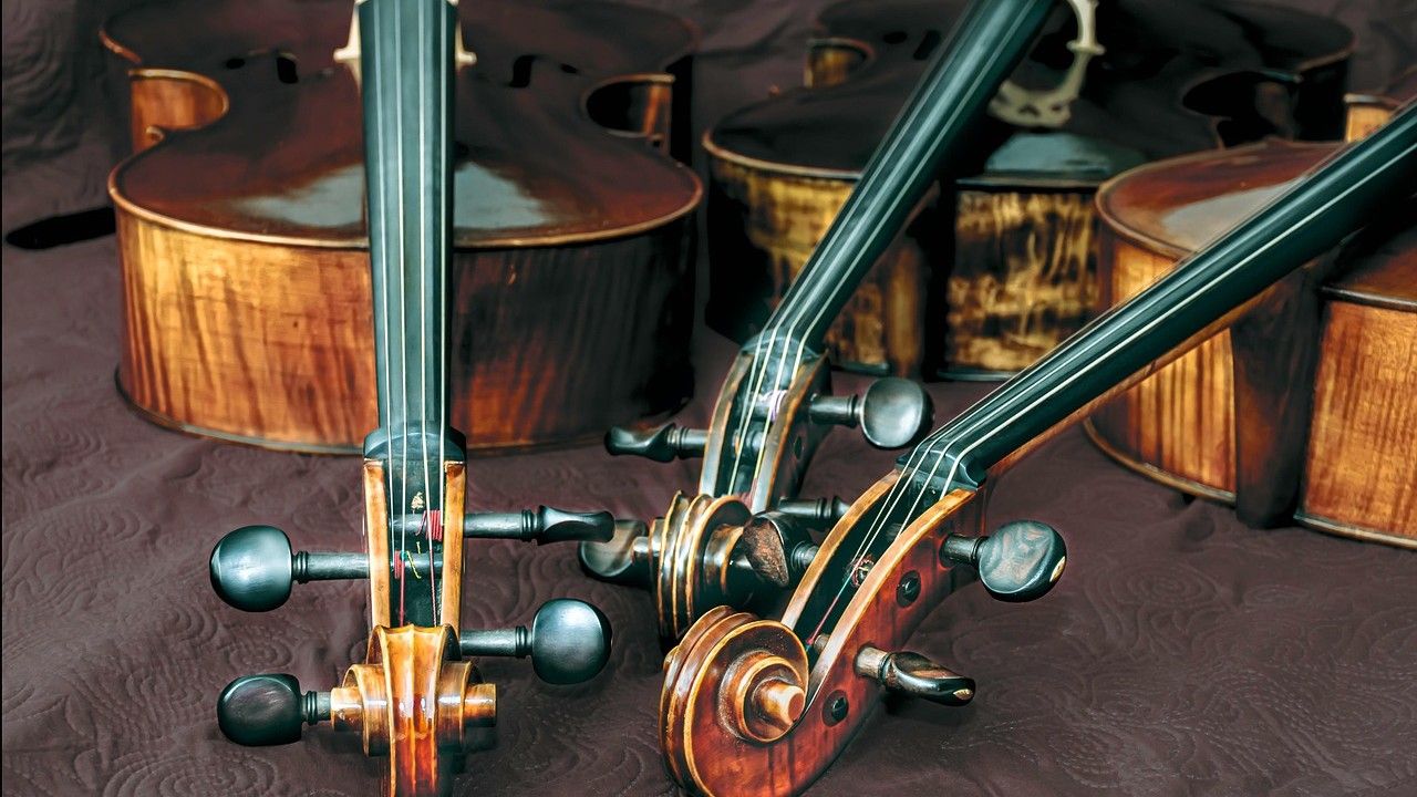 Musical instrument specialist for eBay