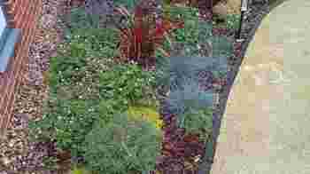 Gardening Volunteer - Beccles Hospital