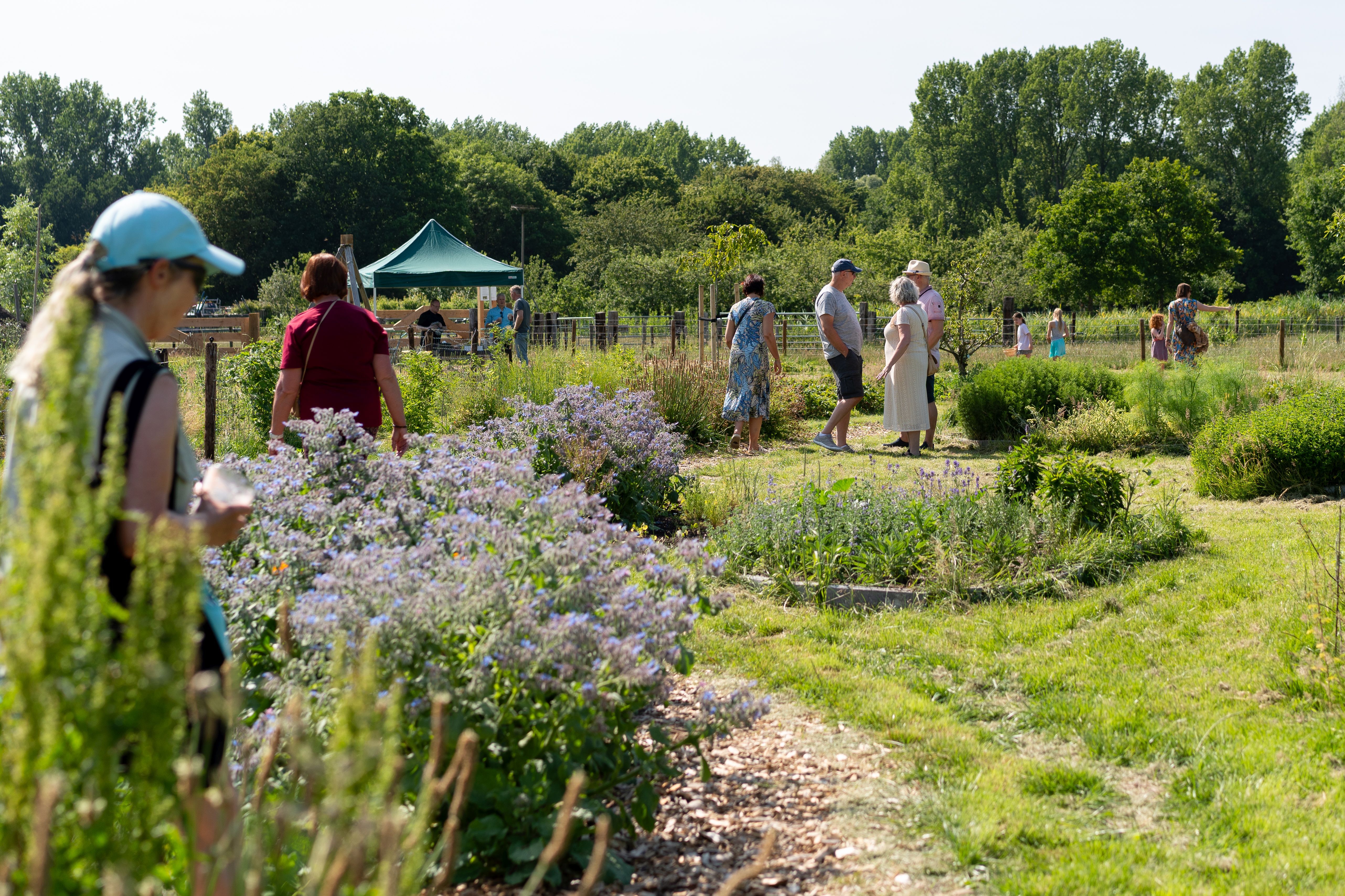 Help mee in het Voedselbos