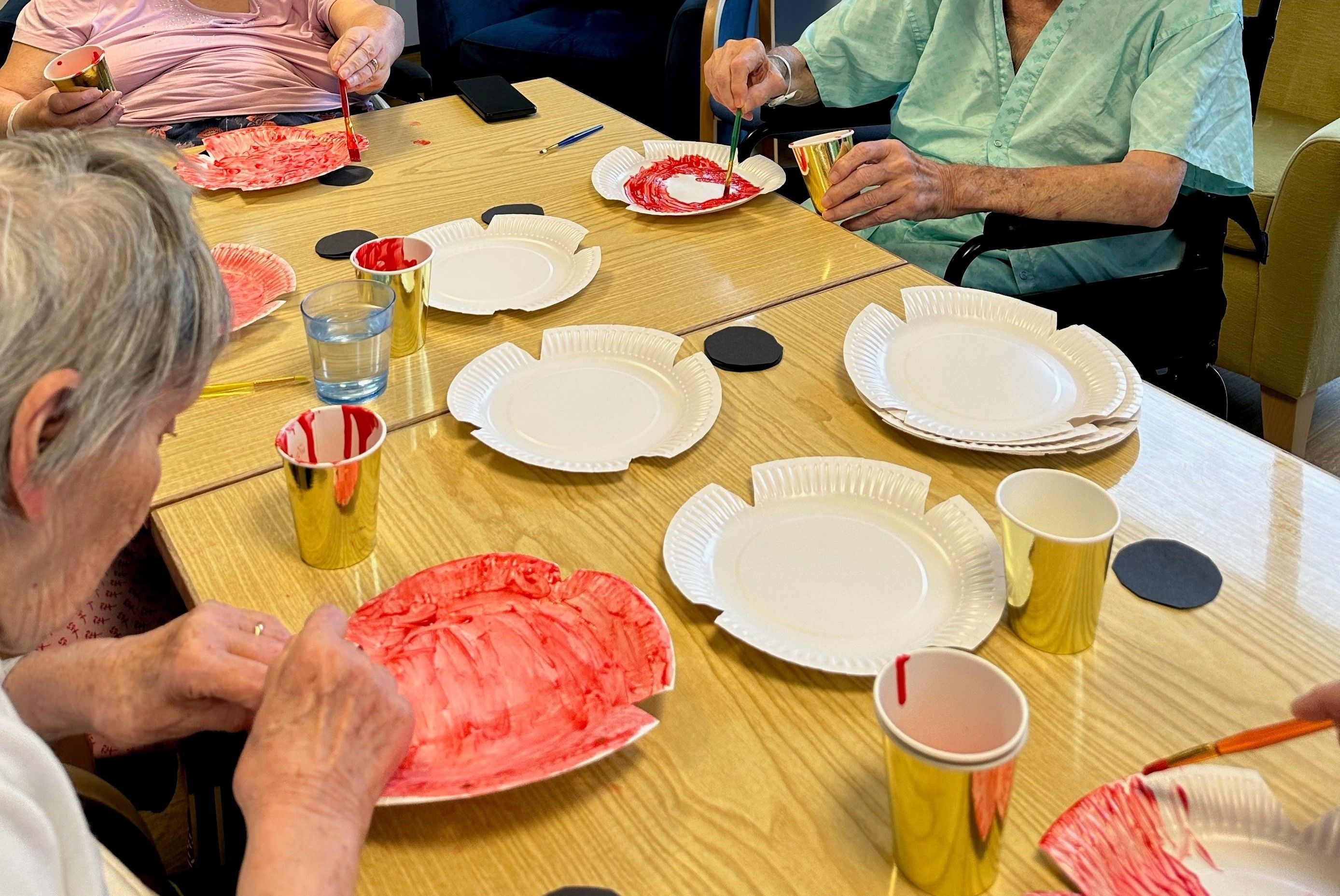  Activity Support Volunteer - Ogden Court Community Hospital, Wymondham