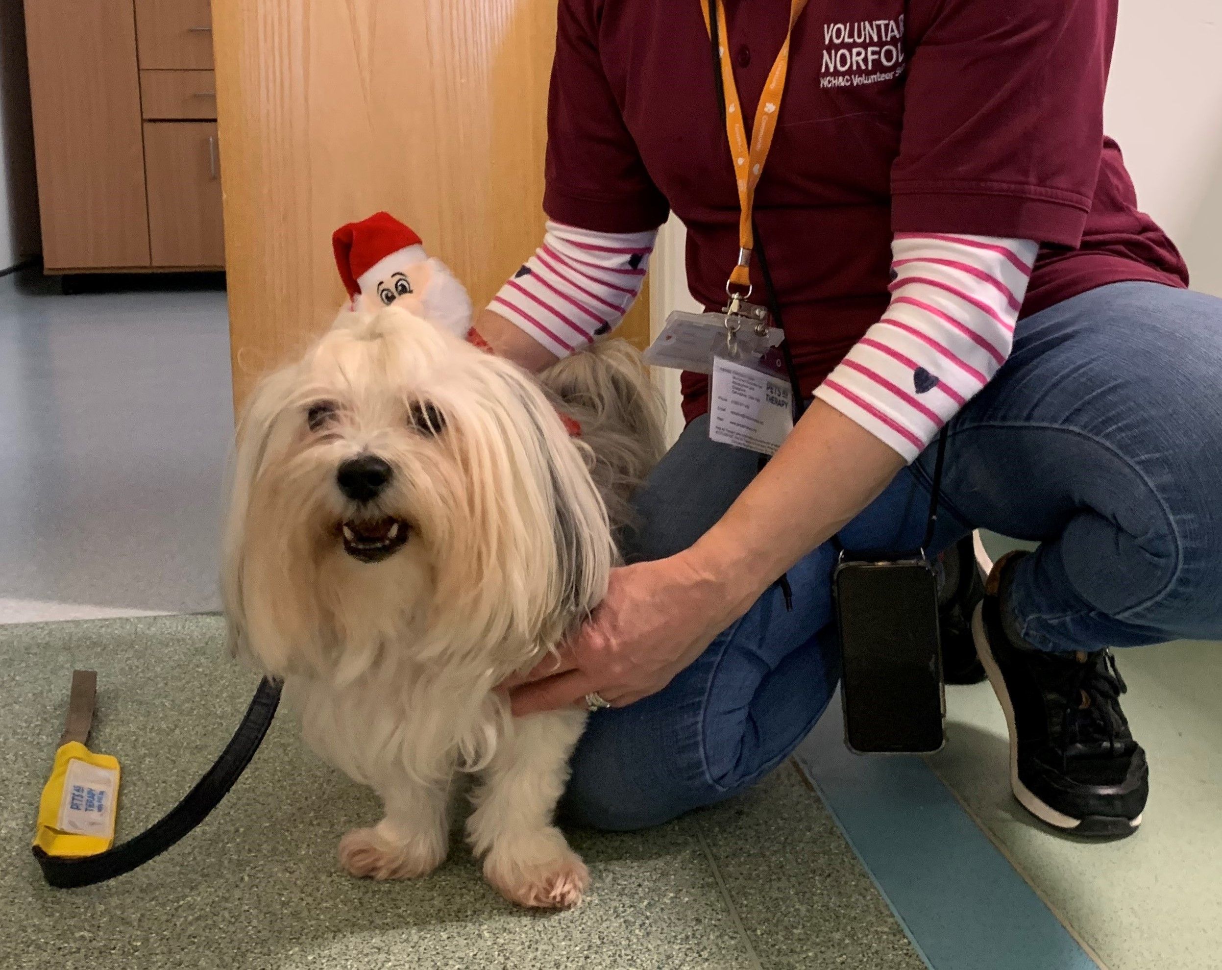 Pets as Therapy (PAT) Volunteer - North Walsham Hospital