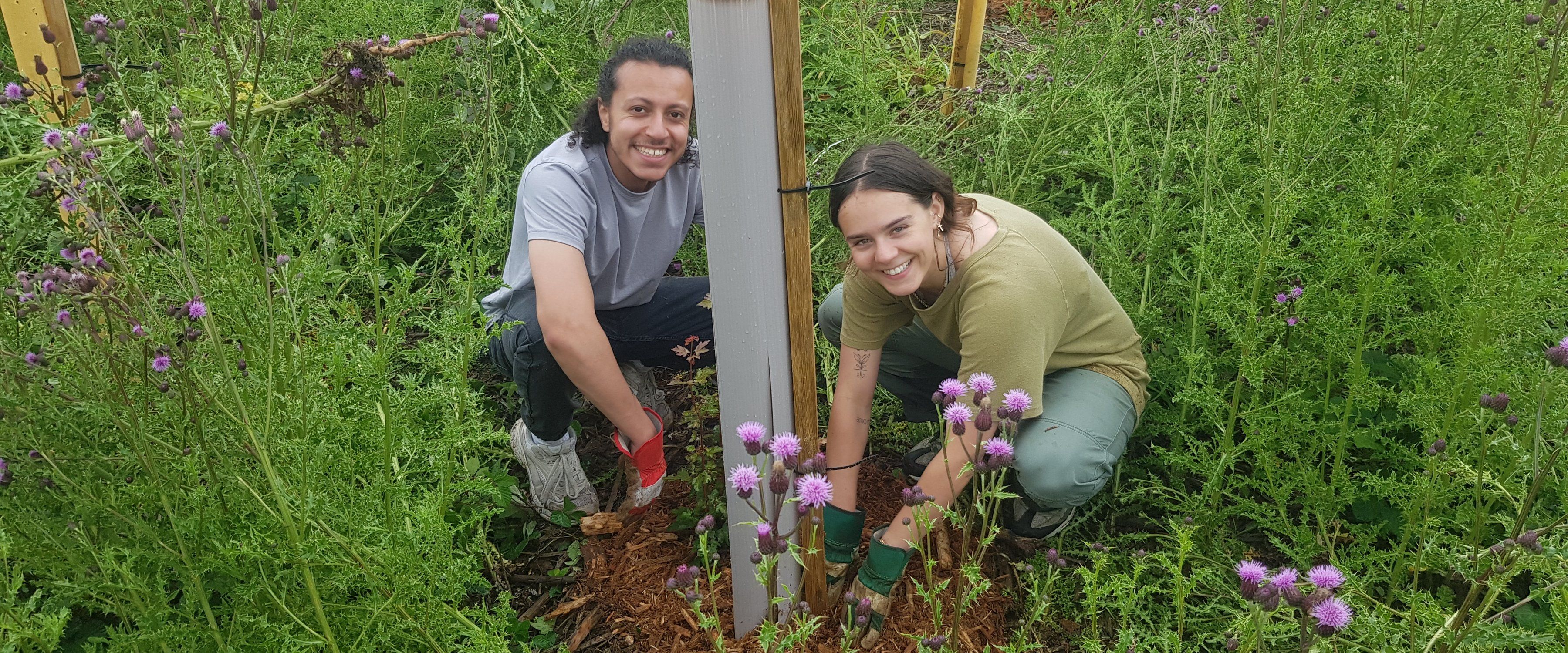Community Woodland Public Volunteering Day at Westonbirt Arboretum