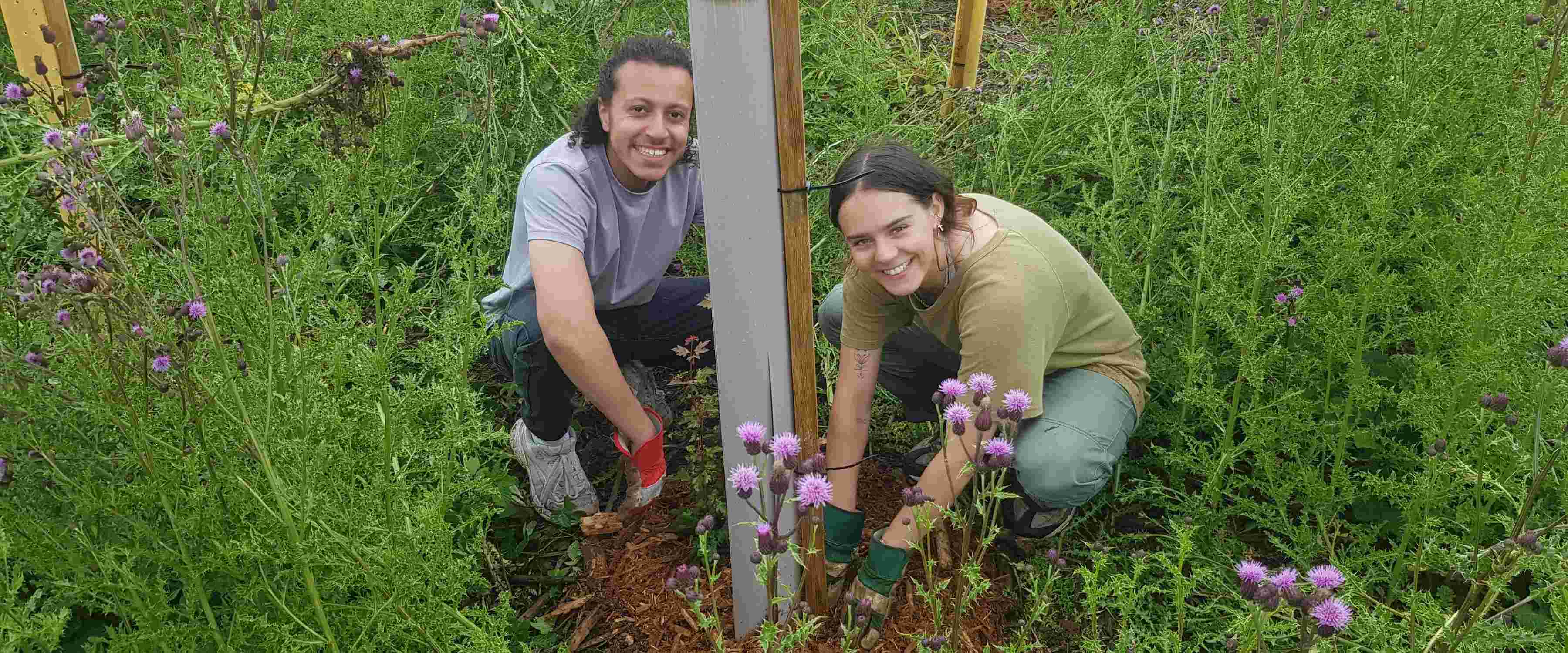 Community Woodland Public Volunteering Day at Westonbirt Arboretum