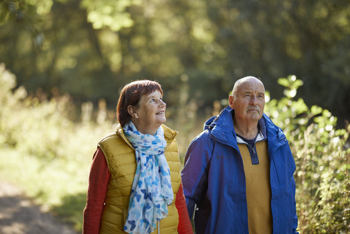 Volunteer Walk Leader 
