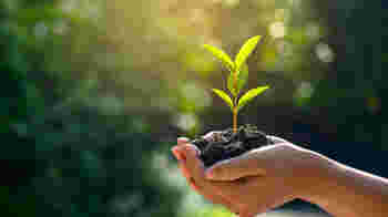 AI Assistant Implementation Lead