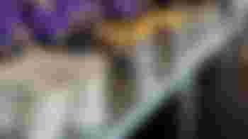 Scholenberoepenmarkt 2026 Catering