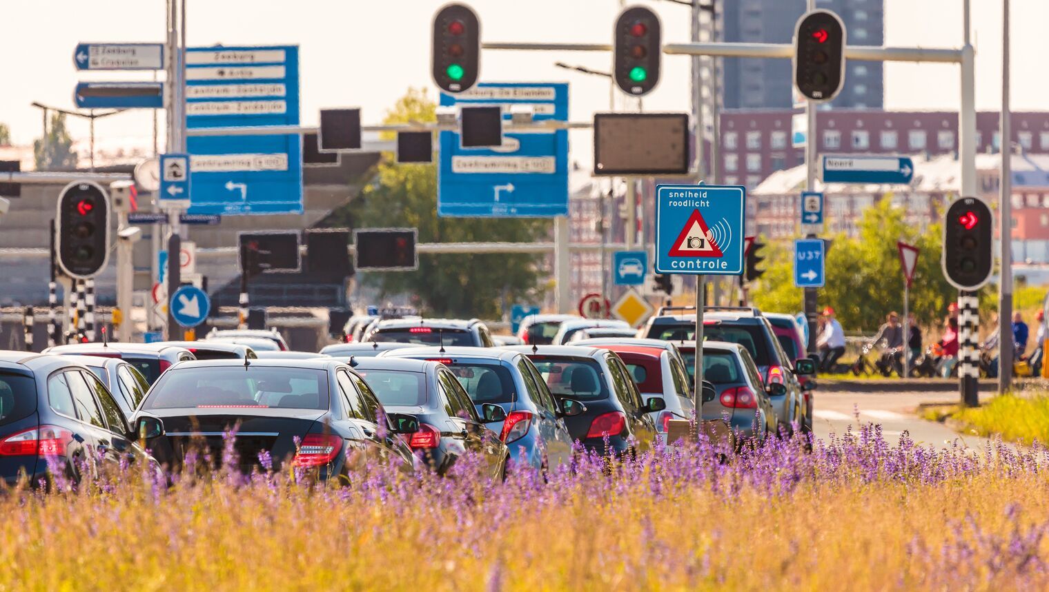 Belangenbehartiger, Ondersteuning Verkeersveiligheidsproject Noord-Brabant