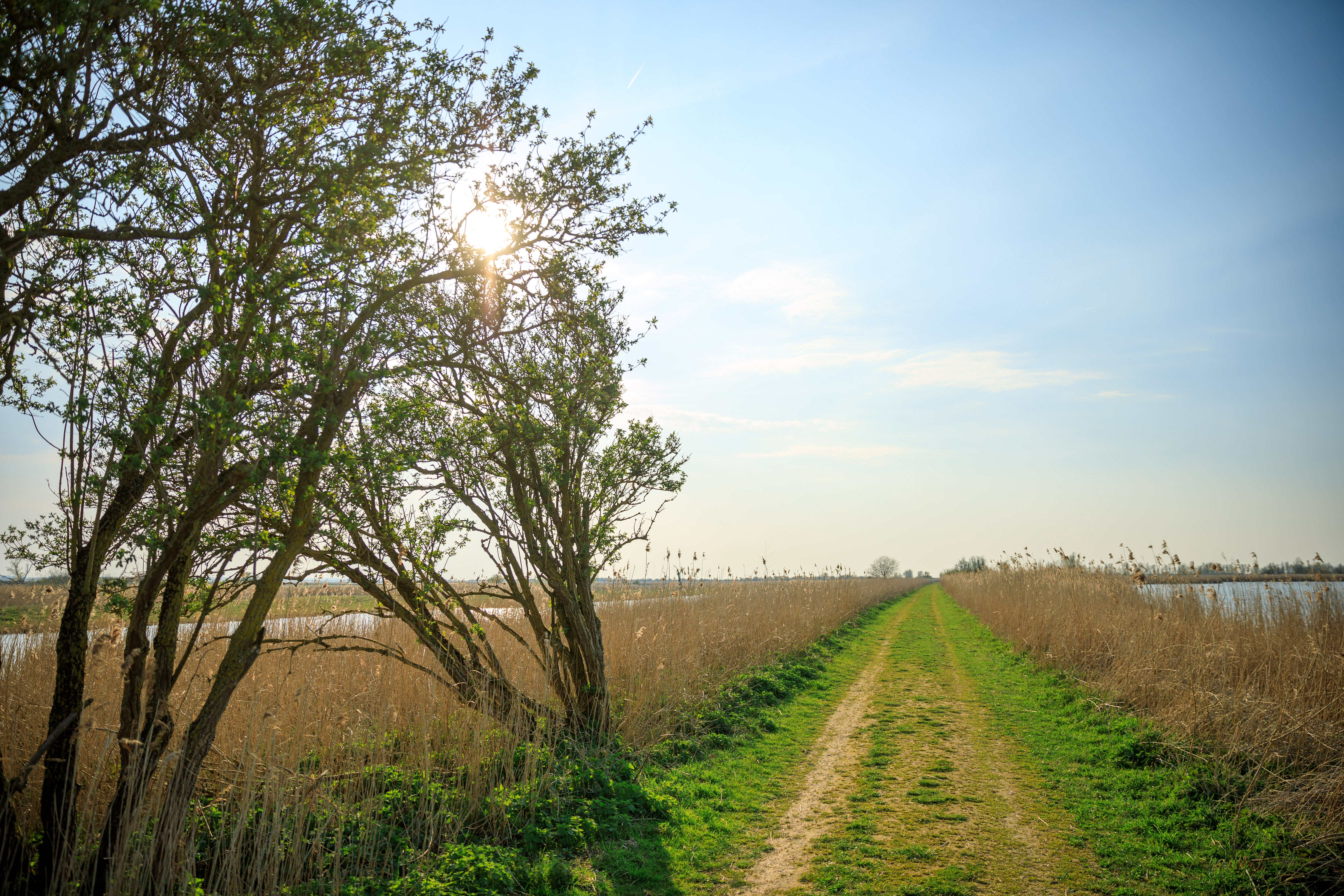 Belangenbehartiging ANWB, Oostvaardersoevers