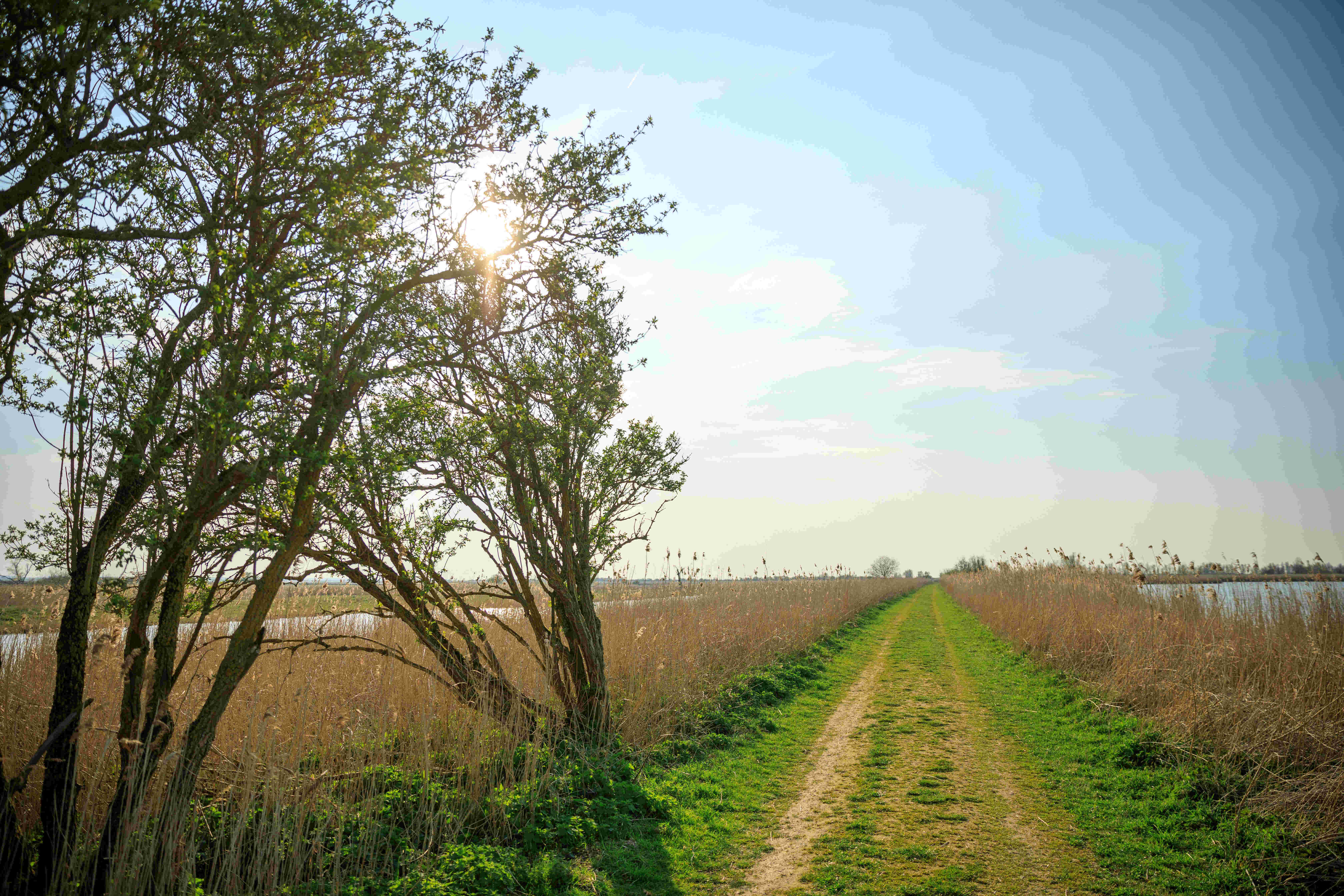 Belangenbehartiging ANWB, Oostvaardersoevers