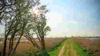 Belangenbehartiging ANWB, Oostvaardersoevers