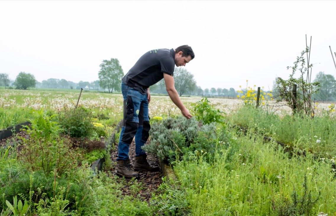 Hart voor groen en kruiden? 