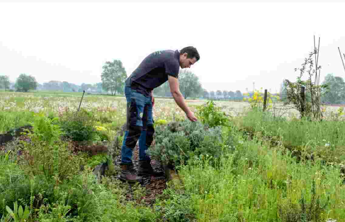 Hart voor groen en kruiden?