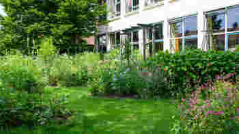 Vrijwilliger Pluktuin - Samen zorgen voor een bloeiend plukseizoen!