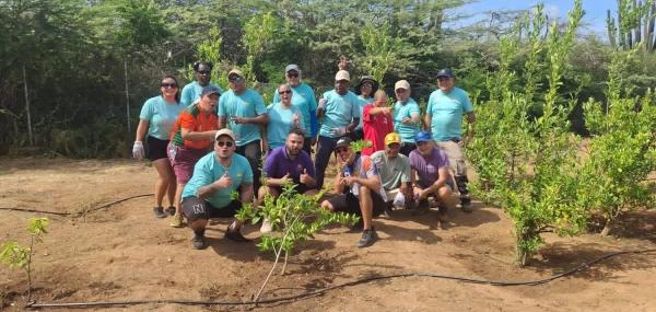 Garden Clean-Up & Planting Day