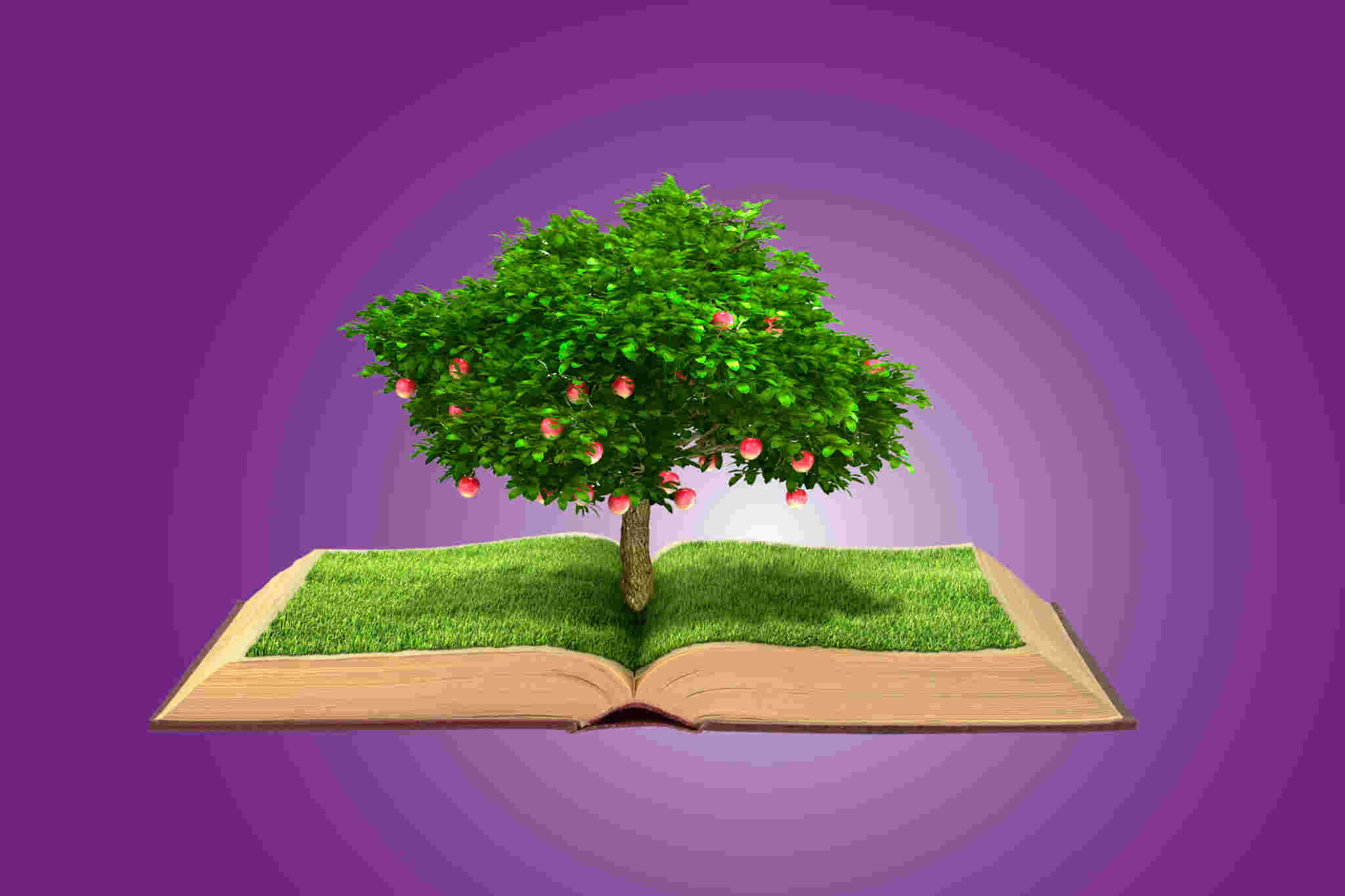 kennisbank organisaties utopia