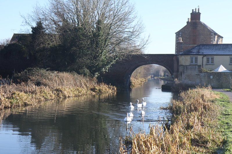 Finance Director (honorary)