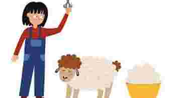 Hulp gezocht tijdens het Lentefeest / Schapenscheerfeest! 6 april 2026