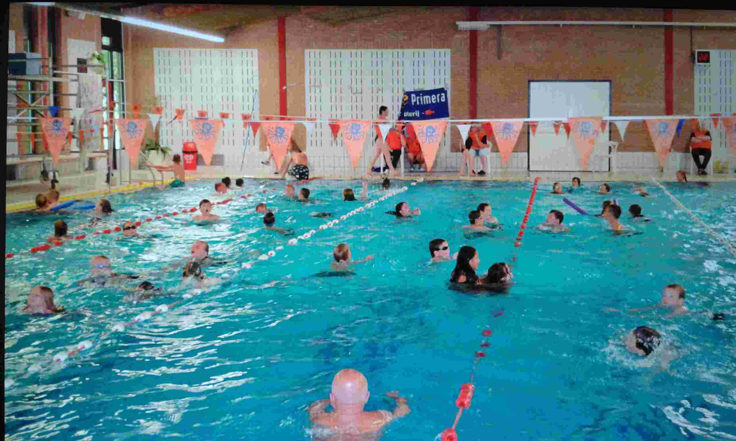 Boekhouder/penningmeester