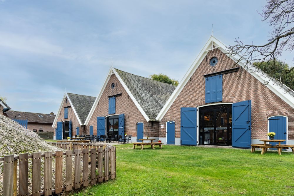 Bestuursvoorzitter - cultureel ondernemer