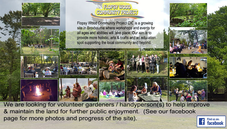 Volunteer Gardener/ 'Handyperson'