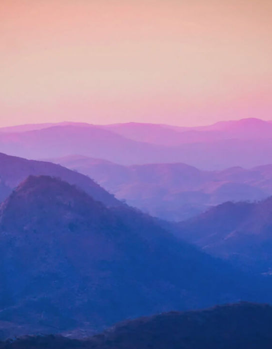 Join Our Advisory Group